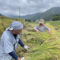 10月パン　新玄米１００％（小豆入り）