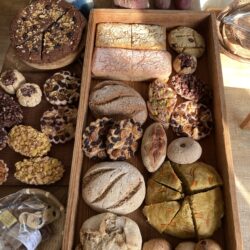 11月イベント案内