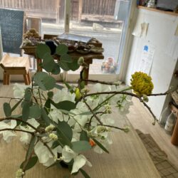 3月イベント案内