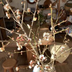 3月になりました