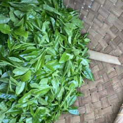 6月パン　玄米１００％（新茶バナナ入り)